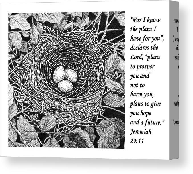 Bird's Nest Canvas Print featuring the drawing Bird's nest with scripture by Janet King