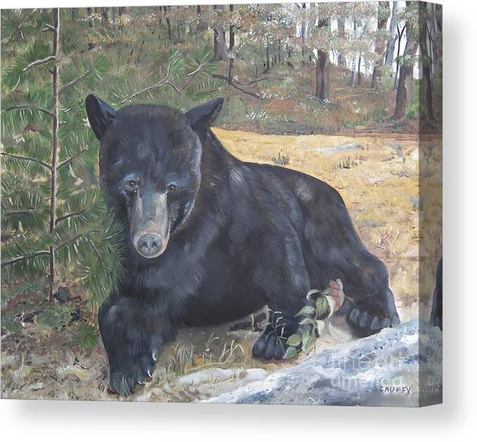 Black Bear Canvas Print featuring the painting Black Bear - Wildlife Art -Scruffy by Jan Dappen