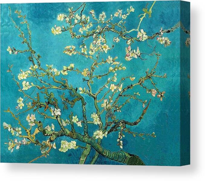 Van Gogh Canvas Print featuring the painting Blossoming Almond Tree by Vincent Van Gogh