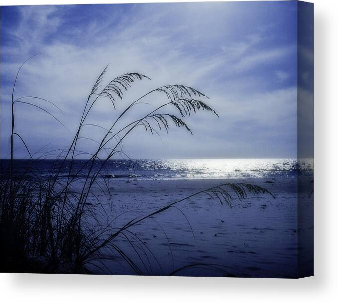 Blue Canvas Print featuring the photograph Blue Beach by David and Carol Kelly