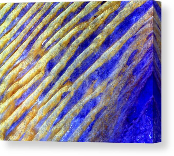 3scape Canvas Print featuring the photograph Blue Dunes by Adam Romanowicz