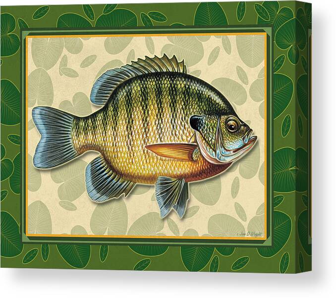 Bluegill Canvas Print featuring the painting Blugill and Pads by JQ Licensing
