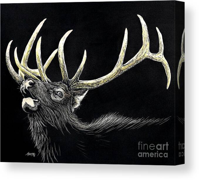 Elk Canvas Print featuring the drawing Call of the Elk by Jennifer Jeffris