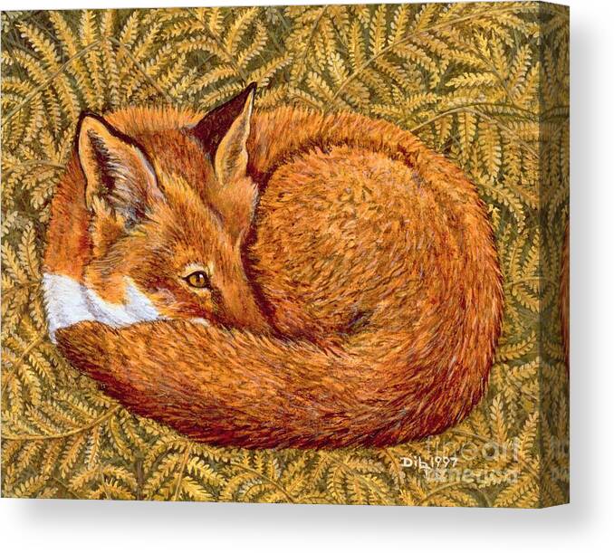 Fox Canvas Print featuring the painting Cat Napping by Ditz