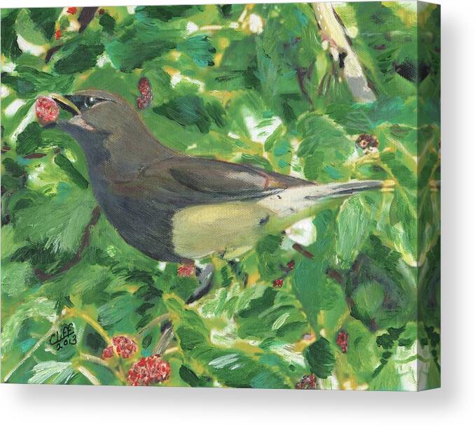 Bird Canvas Print featuring the painting Cedar Waxwing Eating Mulberry by Cliff Wilson