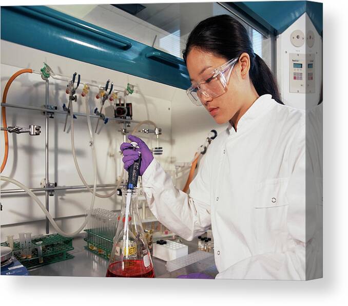 Laboratory Canvas Print featuring the photograph Chemist Pipetting by Mark Thomas/science Photo Library