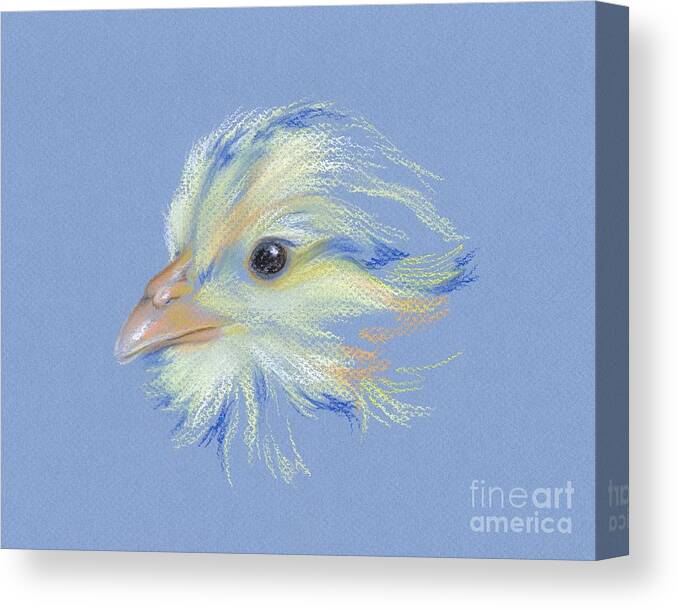 Chick Canvas Print featuring the pastel Chick - Plymouth Barred Rock by MM Anderson
