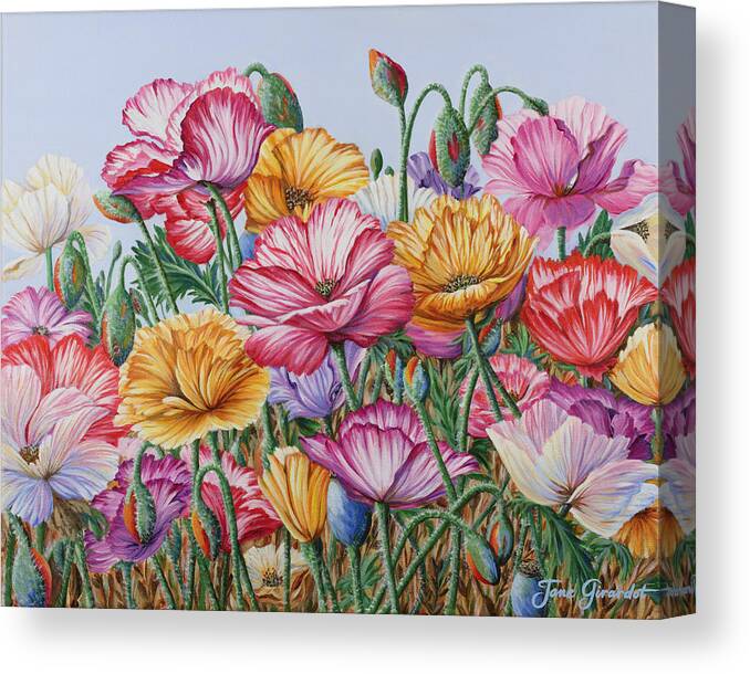 Poppies Canvas Print featuring the painting Coastal Poppies by Jane Girardot