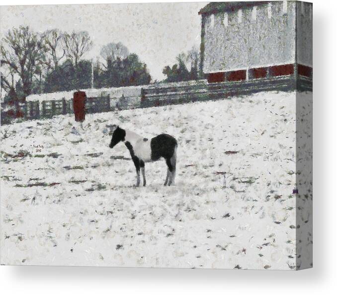 Horse Canvas Print featuring the photograph Cold And Lonely by Trish Tritz