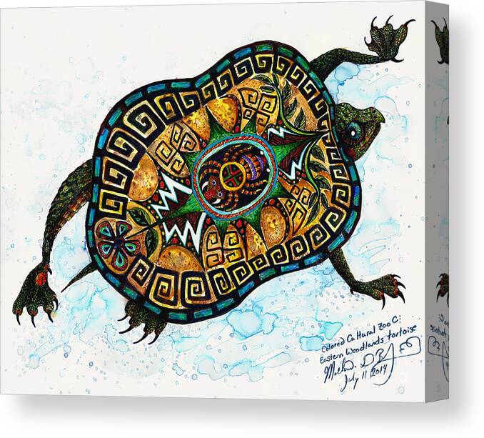 Tortoise Canvas Print featuring the painting Colored Cultural Zoo C Eastern Woodlands tortoise by Melinda Dare Benfield