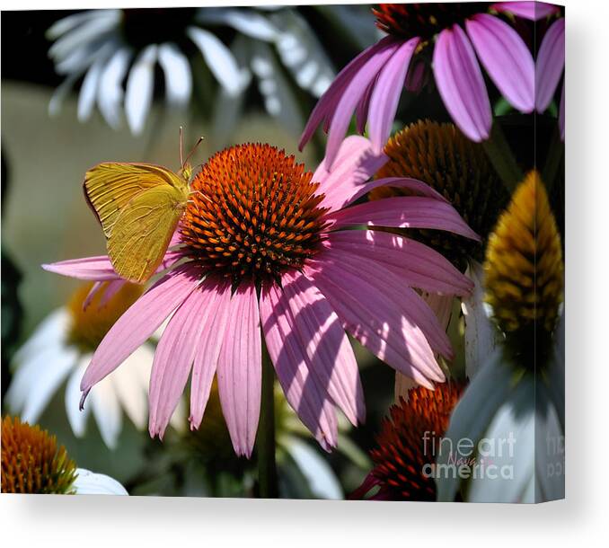Nature Canvas Print featuring the photograph Colorful Garden Path by Nava Thompson
