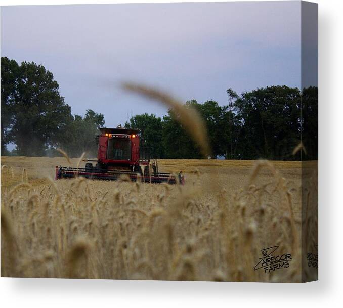 Ag Canvas Print featuring the photograph Coming At You by David Zarecor