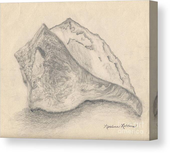 Seashell Canvas Print featuring the drawing Conch Shell by Marlene Robbins