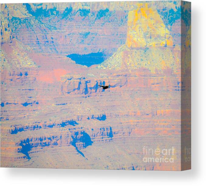 Grand Canvas Print featuring the photograph Condor Series F by Cheryl McClure