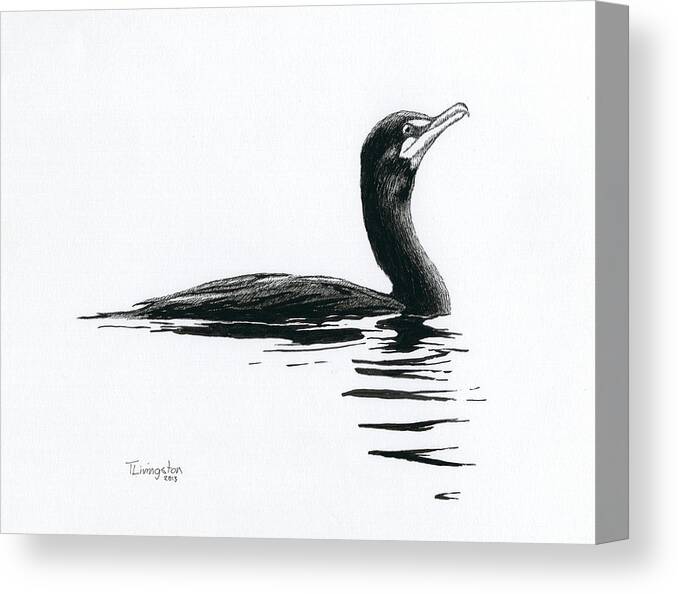 Cormorant Canvas Print featuring the drawing Cormorant by Timothy Livingston
