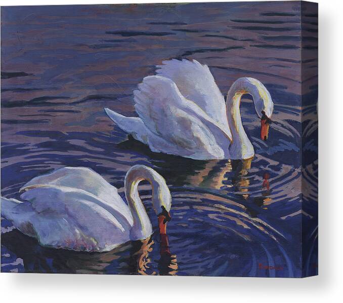 Swans Canvas Print featuring the painting Couple by David Randall