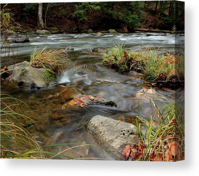 Creek Canvas Print featuring the photograph Whispering Waters by Rod Best