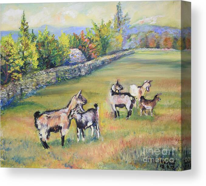 Raija Merila Canvas Print featuring the painting Croatian Goats by Raija Merila