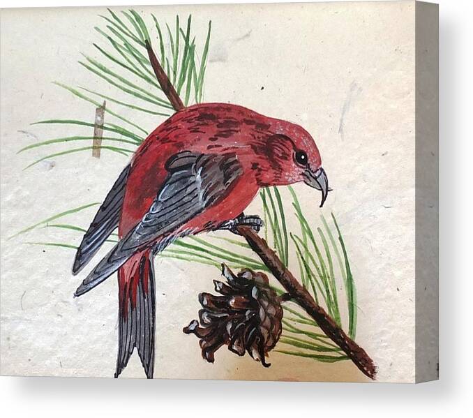 Bird Canvas Print featuring the painting Crossbill by Jennifer Lake