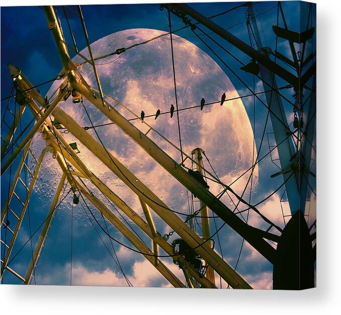 Crows Canvas Print featuring the photograph Crow Watch by John Rivera
