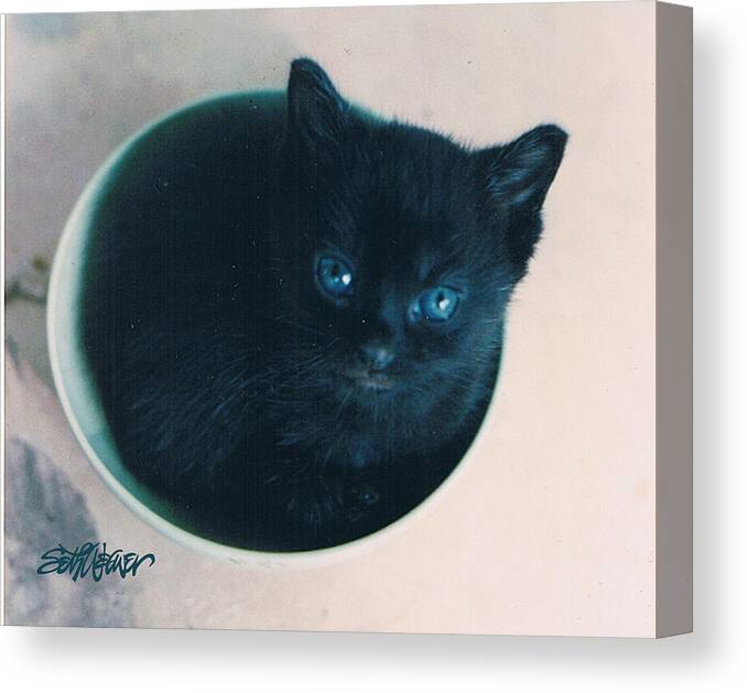 Cat Canvas Print featuring the photograph Cup O'Kitty by Seth Weaver