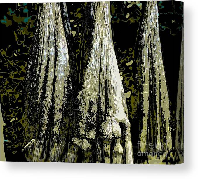 Tree Canvas Print featuring the photograph Cypress Three by Sally Simon
