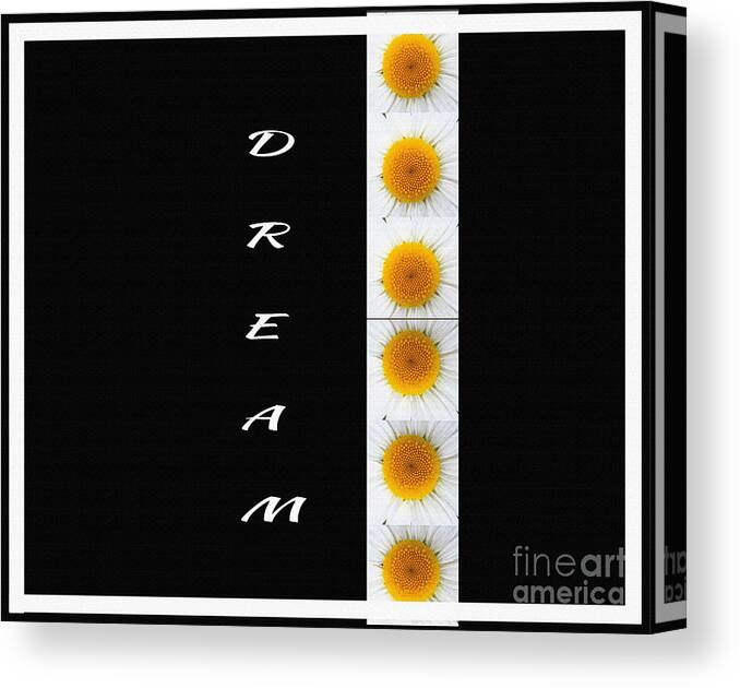 Daisies Dream Black Canvas Print featuring the digital art Daisies Dream Black by Barbara A Griffin