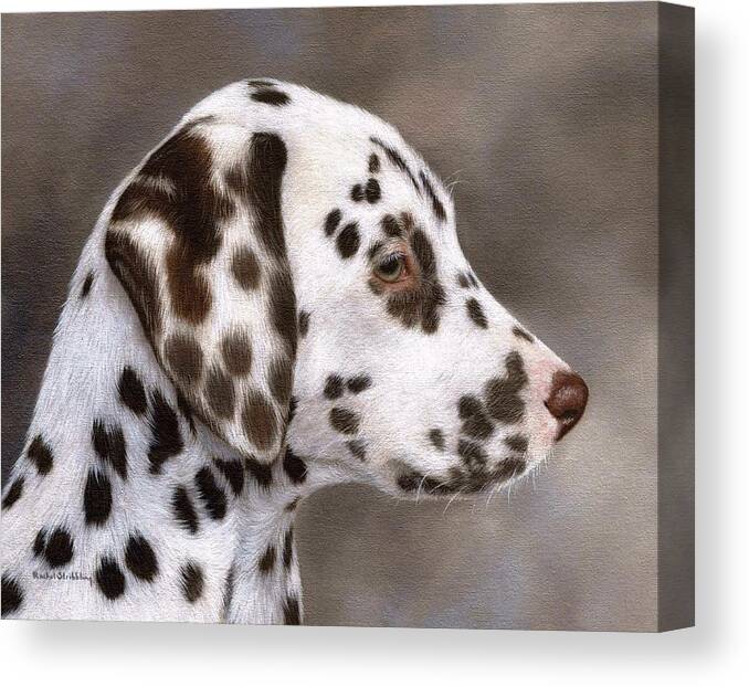 Dog Canvas Print featuring the painting Dalmatian Puppy Painting by Rachel Stribbling