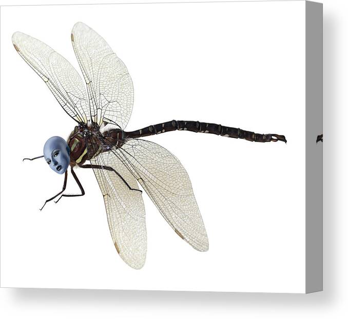 Surreal Canvas Print featuring the photograph Damselfly by Jim Painter