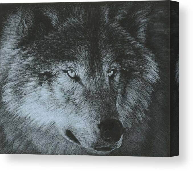 Black Canvas Print featuring the painting Dark Wolf by Carla Kurt