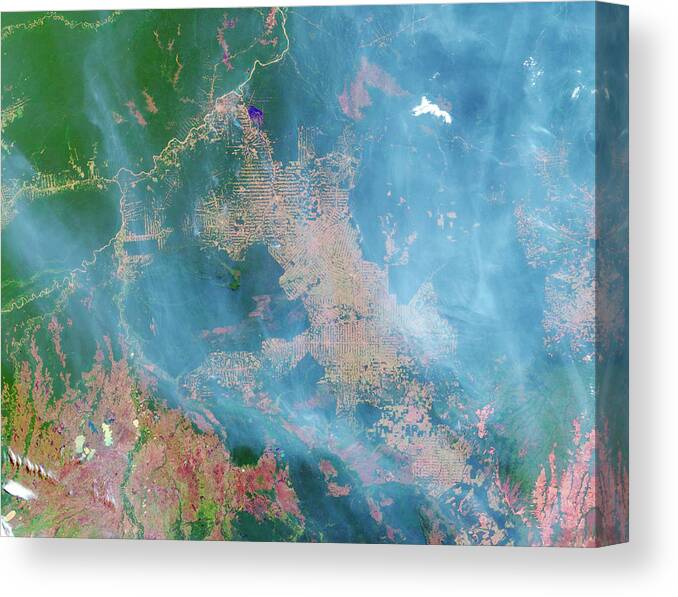 Forest Canvas Print featuring the photograph Deforestation In The Amazon by Nasa Earth Observatory