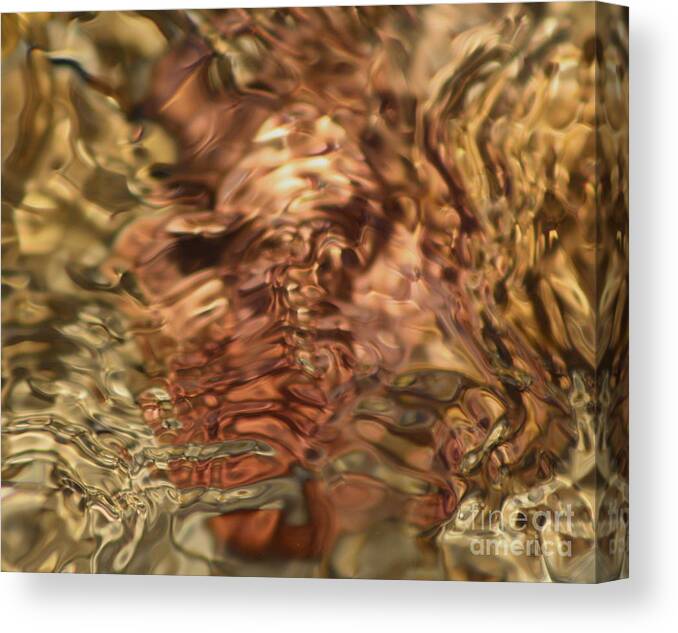 Surreal Canvas Print featuring the photograph Distractions by Fred Sheridan
