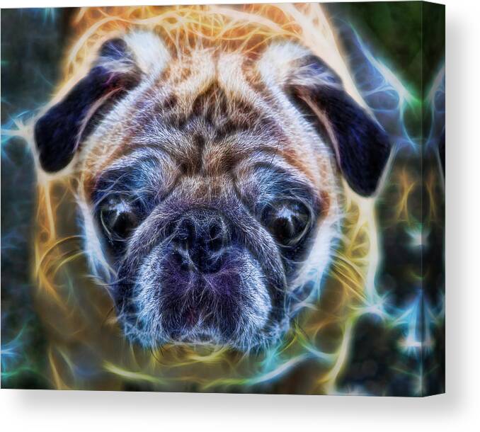 Interior Decoration Canvas Print featuring the photograph Dogs - The Psychedelic Fantasy Pug by Lee Dos Santos