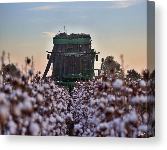 Ag Canvas Print featuring the photograph Down the Row by David Zarecor