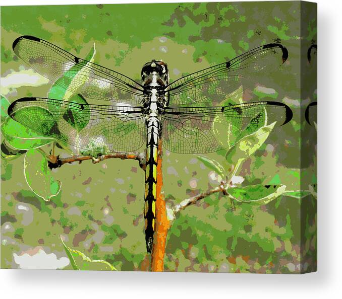 Dragonfly Canvas Print featuring the photograph Dragonfly Pastel by Sheri McLeroy