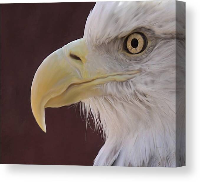 Birds Canvas Print featuring the digital art Eagle Portrait Freehand by Ernest Echols