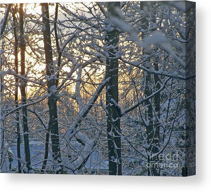Snow Canvas Print featuring the photograph Early Morning Light by Louise Peardon