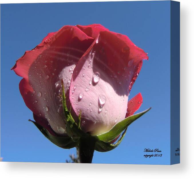 Pink Canvas Print featuring the photograph Excellence Centered by Michele Penn