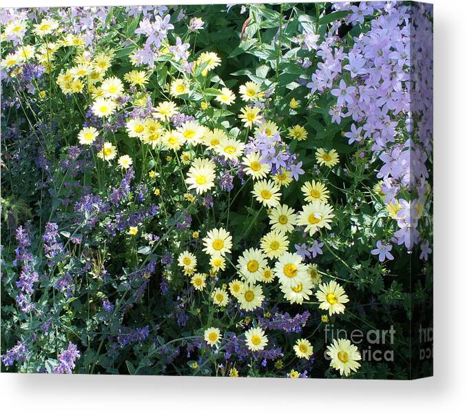 Floral Canvas Print featuring the photograph Expectation by Elena Perelman
