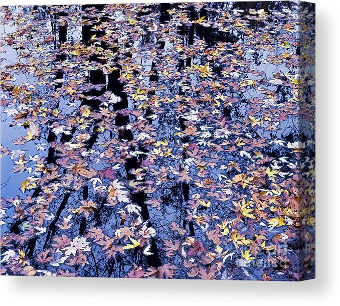 Fall Canvas Print featuring the photograph Fall Reflections by Alan L Graham