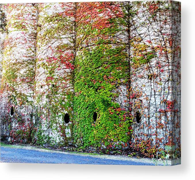 Fall Canvas Print featuring the photograph Fall Silos by Holly Blunkall