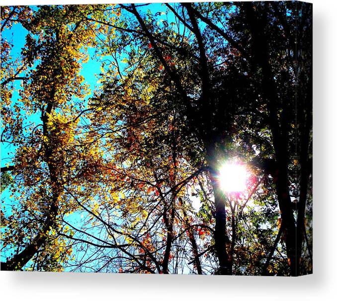 Falling Into Color Canvas Print featuring the photograph Falling into Color by Darren Robinson