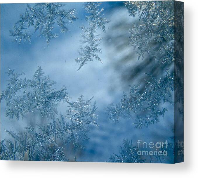 Hoar Frost Canvas Print featuring the photograph Feathery Hoar Frost by Jean Wright
