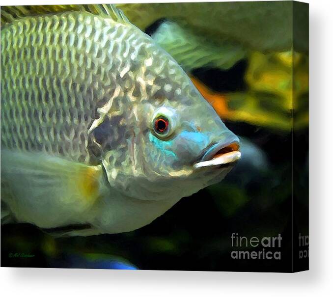 Fish Lips Canvas Print featuring the photograph Fish Lips by Mel Steinhauer