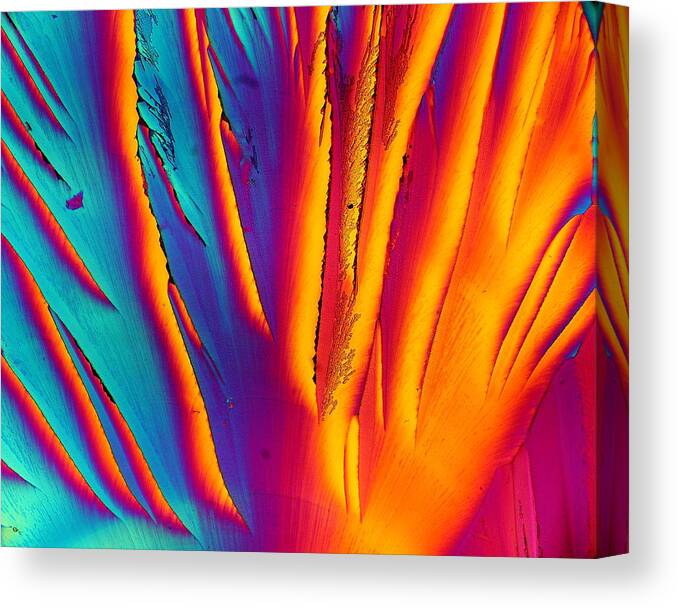 Crystals Canvas Print featuring the photograph Flower Power by Hodges Jeffery