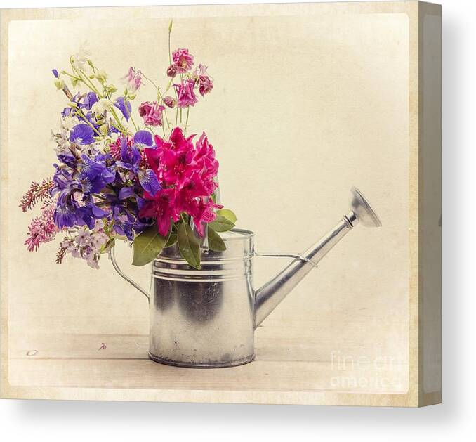 Can Canvas Print featuring the photograph Flowers in Watering Can by Edward Fielding