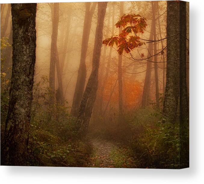 Autumn Canvas Print featuring the photograph Foggy Autumn by Mary Jo Allen