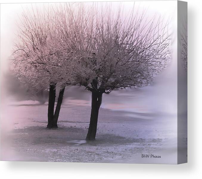 Landscape Canvas Print featuring the photograph Foggy winter trees by Bonnie Willis