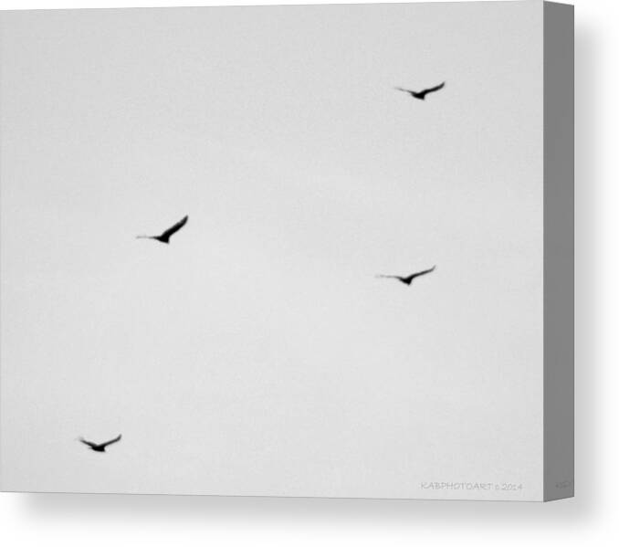 Birds Canvas Print featuring the photograph Four Buzzards by Kathy Barney