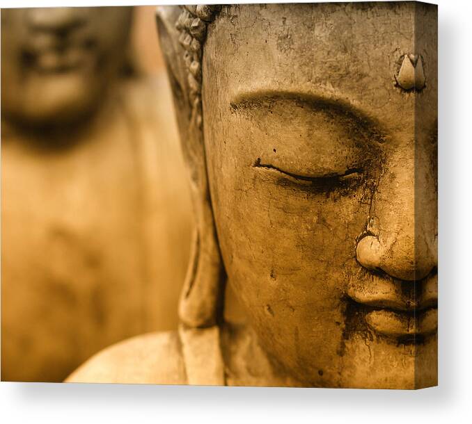 Buddha Canvas Print featuring the photograph From Within 2 by Mike Trueblood